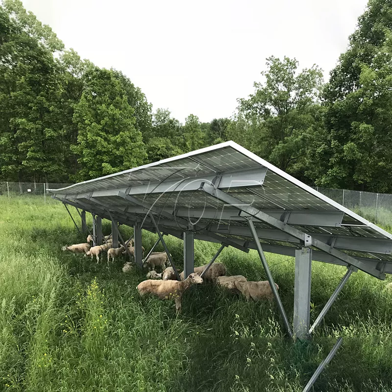 Päikesepaneelid talu jaoks: põllumajanduse energia jätkusuutlikkuse abistamine kõrgemale tasemele!